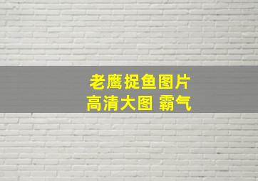 老鹰捉鱼图片高清大图 霸气